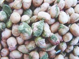 Aflatoxin Awareness Week: Protecting Consumers and Businesses with Safe Groundnuts